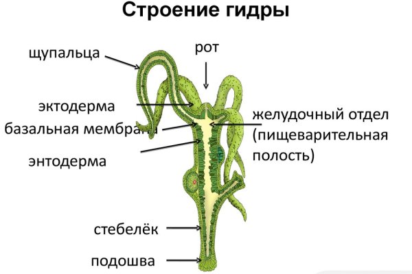 Кракен маркет что это такое