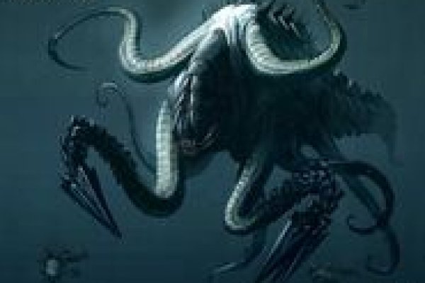 Kraken рынок