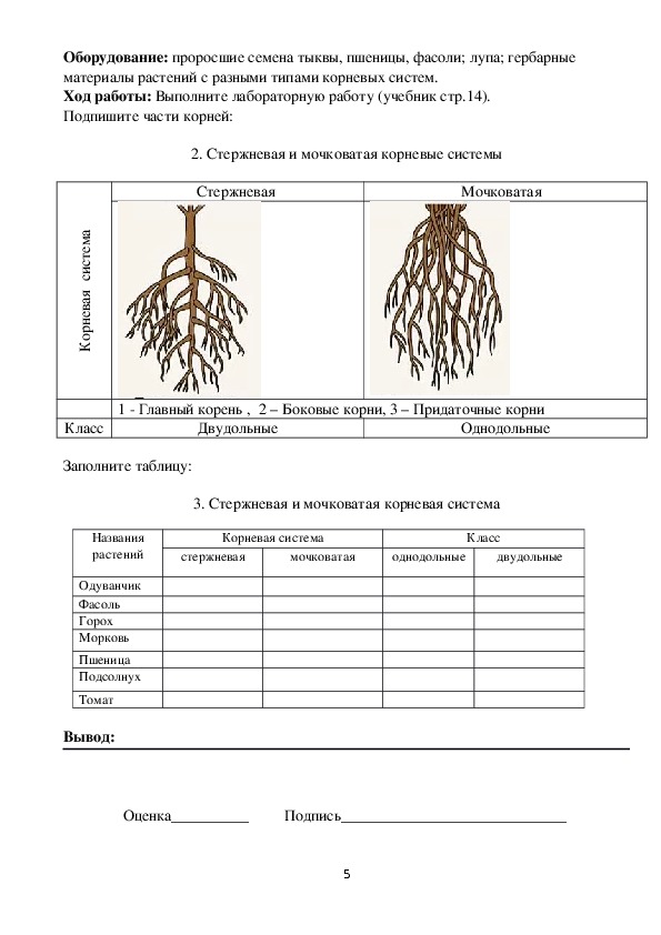 Кракен сообщество